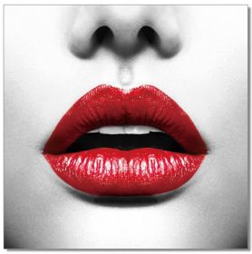 Oppidan Home "Red Lips" Acrylic Wall Art (40"H X 40"W)